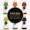 Five Day Juice Cleanse - HyperFresh RAW Juice